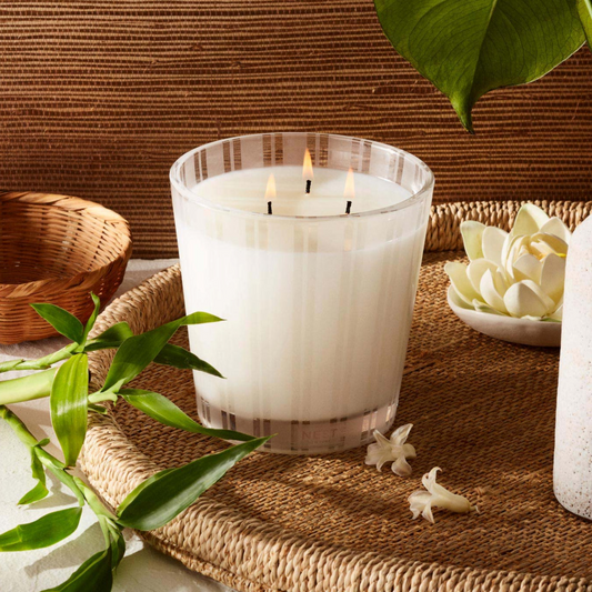 Lifestyle of Nest New York Bamboo 3-Wick Candle