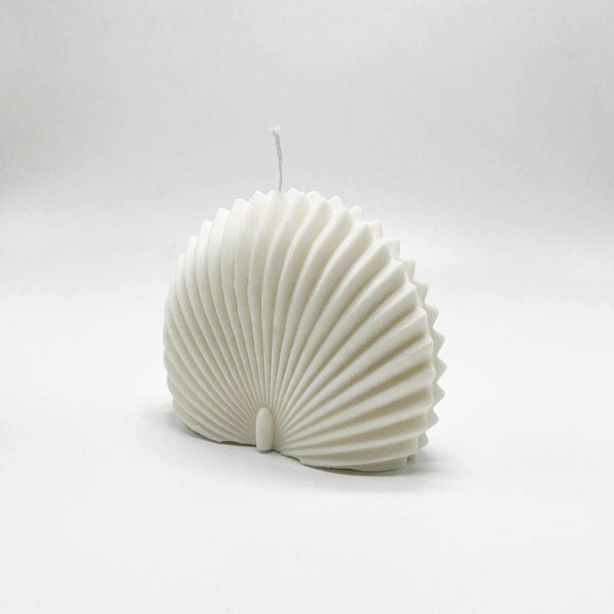 Shell Candle