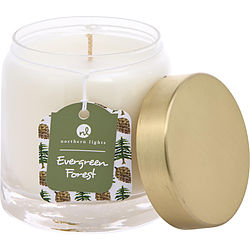 Evergreen Forest By Northern Lights