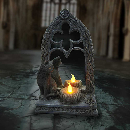 Magic Black Cat Mirror