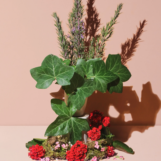 GOOD MORNING CANDLE: geranium + pink rosemary + green moss