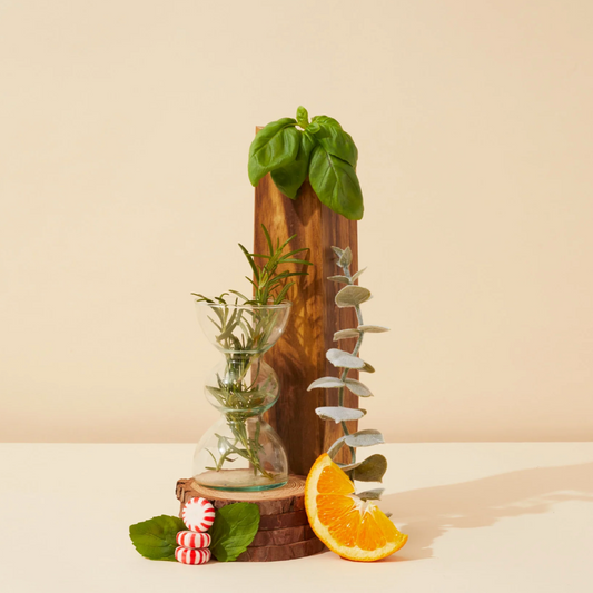 TWO OCCASIONS CANDLE: rosemary + cedar + sage