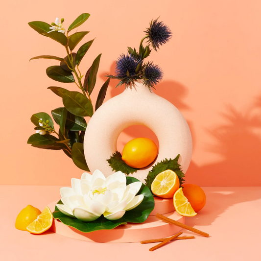 EASY LOVERS CANDLE: meyer lemon + shiso leaf
