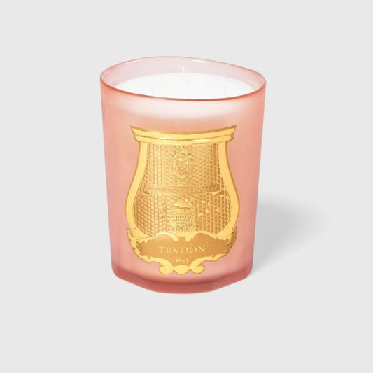 TUILERIES - Trudon - Aida Bicaj
