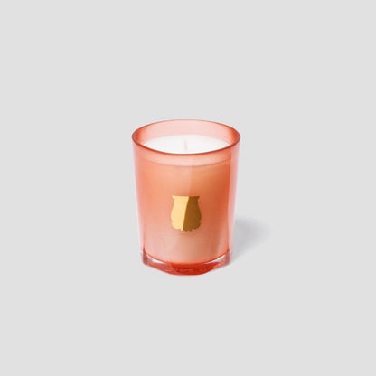 TUILERIES - Trudon - Aida Bicaj