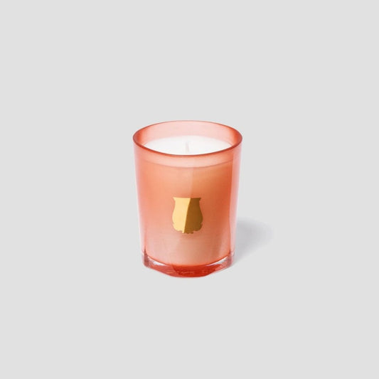 TUILERIES - Trudon - Aida Bicaj